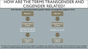 A diagram that answers the question “How are the terms Transgender and Cisgender related?” Both describe a relationship between gender identity and sex/gender assigned at birth. A flow chart on the left draws a progression with arrows from baby born, to assigned female at birth and identifies as any gender other than as a woman, to transgender person. A flow chart on the right draws a progression with arrows from baby born, to assigned female at birth and identifies as a woman, to cisgender woman. At the bottom of the diagram, it reads: "The above visual is a general way to understand what transgender and cisgender mean, especially in relation to each other. If someone does not use transgender or cisgender to describe themselves, then you shouldn't use it to describe them either. How a person self-identifies is the most important part, so follow their lead."